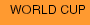 WORLD CUP