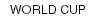 WORLD CUP