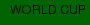 WORLD CUP