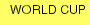 WORLD CUP