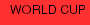 WORLD CUP