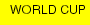 WORLD CUP