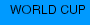 WORLD CUP