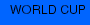 WORLD CUP