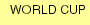 WORLD CUP