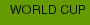 WORLD CUP