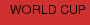 WORLD CUP