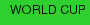 WORLD CUP