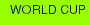 WORLD CUP