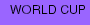 WORLD CUP