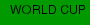 WORLD CUP