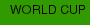 WORLD CUP