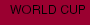 WORLD CUP
