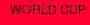 WORLD CUP