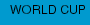 WORLD CUP