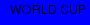 WORLD CUP