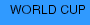 WORLD CUP
