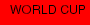 WORLD CUP