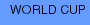 WORLD CUP
