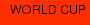 WORLD CUP