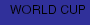 WORLD CUP