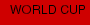 WORLD CUP