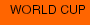 WORLD CUP