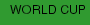 WORLD CUP
