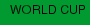 WORLD CUP