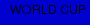 WORLD CUP